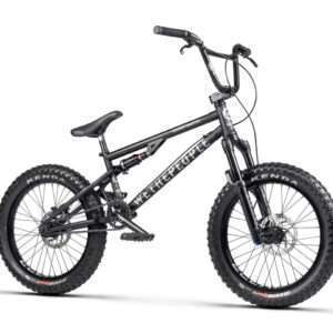 We The People 2024 Swamp aster BMX Bike Reviews