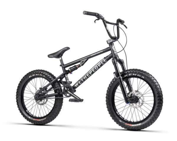 We The People 2024 Swamp aster BMX Bike Reviews
